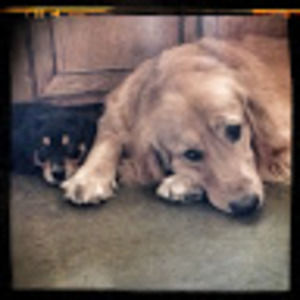 Meet your Posher, Mikki